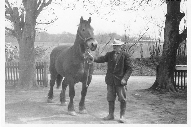 Farfar.jpg - Farfar med sin hest i indkørslen på Nøbølle Bækvej